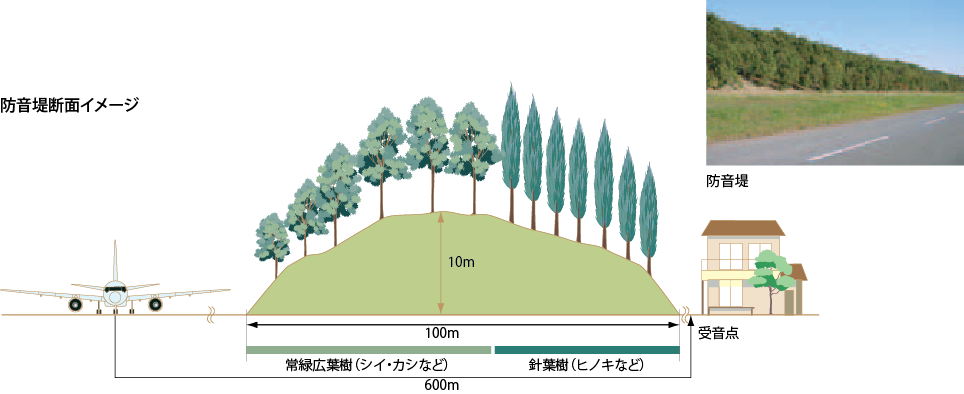 防音提断面イメージ：飛行機から受音点までは600m、その間に断面距離100m高さ10mの防音提（シイ・カシなどの常緑広葉樹とヒノキなどの針葉樹を植えている）を整備しています。
